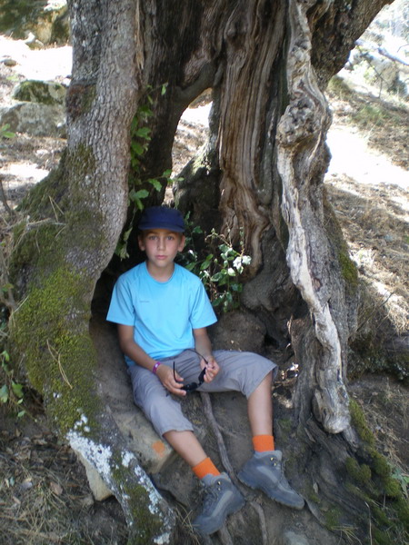 Forêt de Tartagine 004
