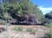 Lozari plage